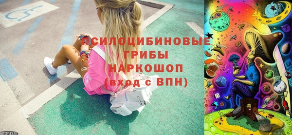 PSILOCYBIN Нея