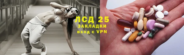 PSILOCYBIN Нея