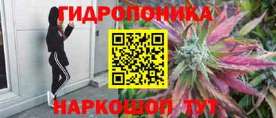 Альфа ПВП Гай