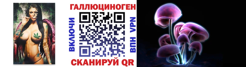 Псилоцибиновые грибы GOLDEN TEACHER  OMG ТОР  Дмитров 