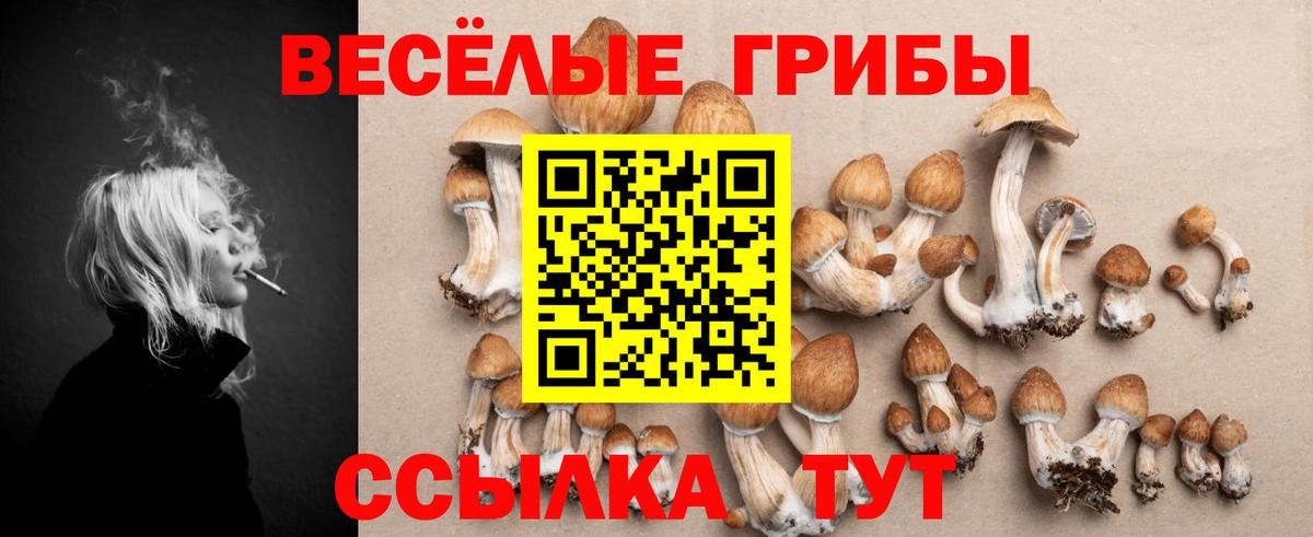 Дмитров  Псилоцибиновые грибы Psilocybine cubensis  Псилоцибиновые грибы Magic Shrooms  Вход с VPN 