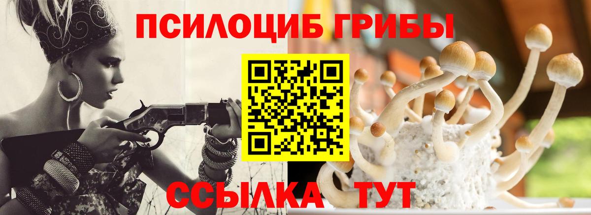 Псилоцибиновые грибы мухоморы Дмитров