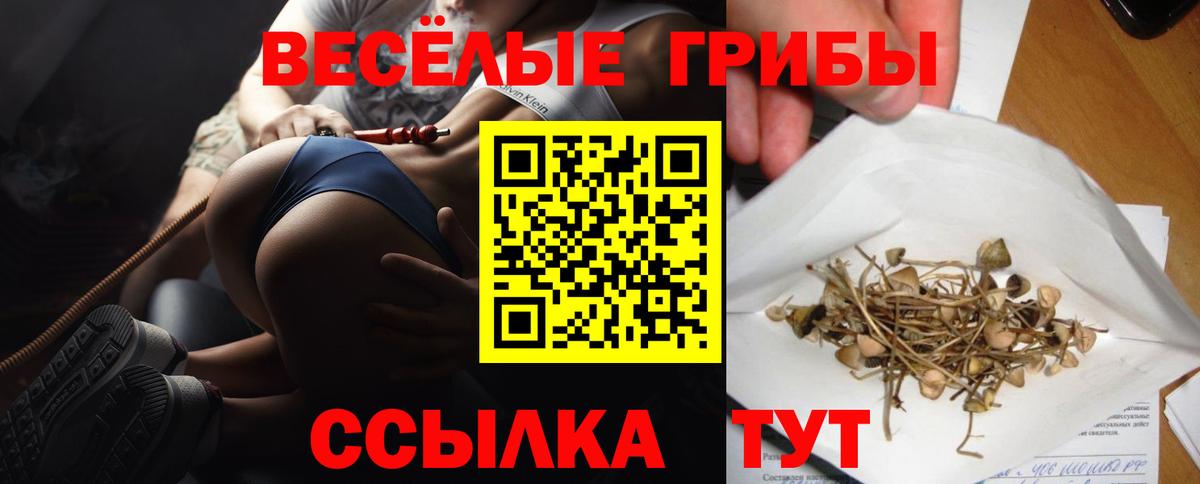 Галлюциногенные грибы Magic Shrooms  Дмитров  закладки  Псилоцибиновые грибы мицелий 